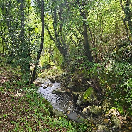 Villa Rada Igalo Dış mekan fotoğraf