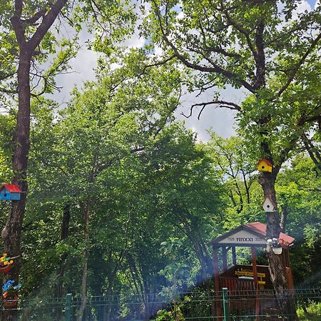 Villa Rada Igalo Dış mekan fotoğraf