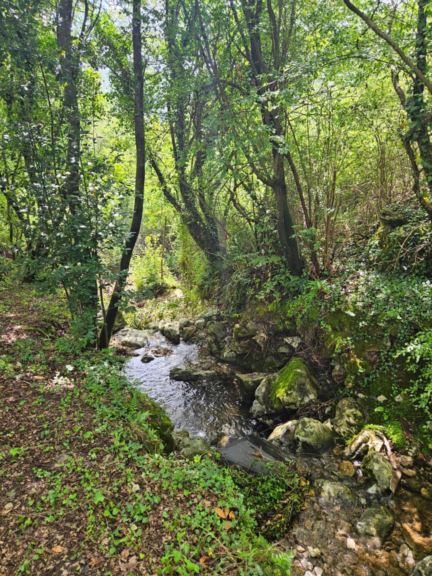 Villa Rada Igalo Dış mekan fotoğraf