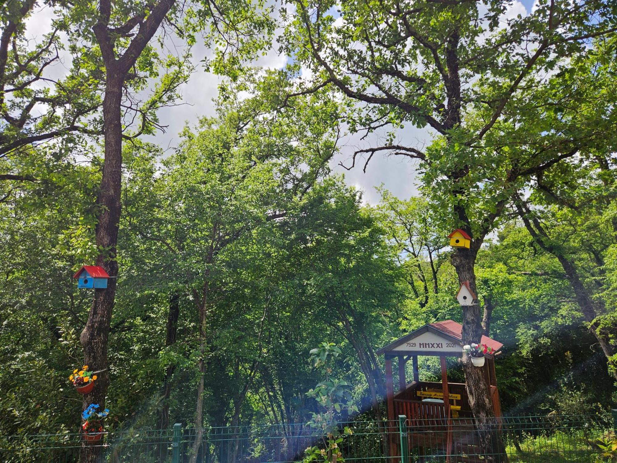 Villa Rada Igalo Dış mekan fotoğraf